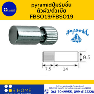 pyramidปุ่มรับชั้น ตัวผัว/ตัวเมีย FBSO19/FBSO19