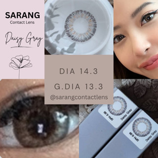 รุ่น Daisy Gray DIA 14.3 G.DIA 13.7  WATER 38 % คอนแทคเลนส์ รายเดือน ซารัง
