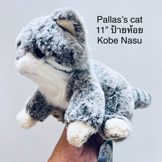 #ตุ๊กตา #แมว #ขนสวย #ขนาด11” Pallas’s Cat #ป้ายห้อย #หายาก #ขนนุ่ม #ลิขสิทธิ์แท้ #Kobe #Nasu #Animal #Kingdom 1/2023