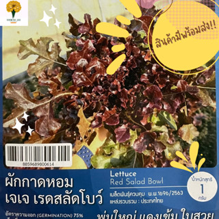 เมล็ด ผักกาดหอมเจเจเรดสลัดโบว์ ( Lettuce Red Salad Bowl )