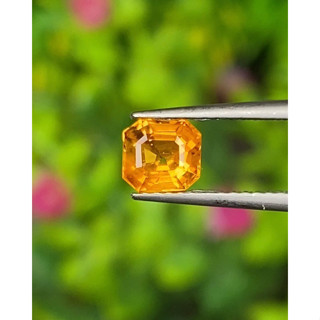 พลอย บุษราคัม Yellow Sapphire 0.93 กะรัต (Cts.)