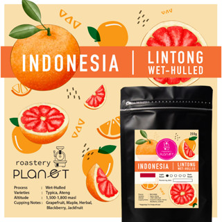 เมล็ดกาแฟคั่ว  Indonesia Lintong Wet-Hulled (คั่วอ่อน)