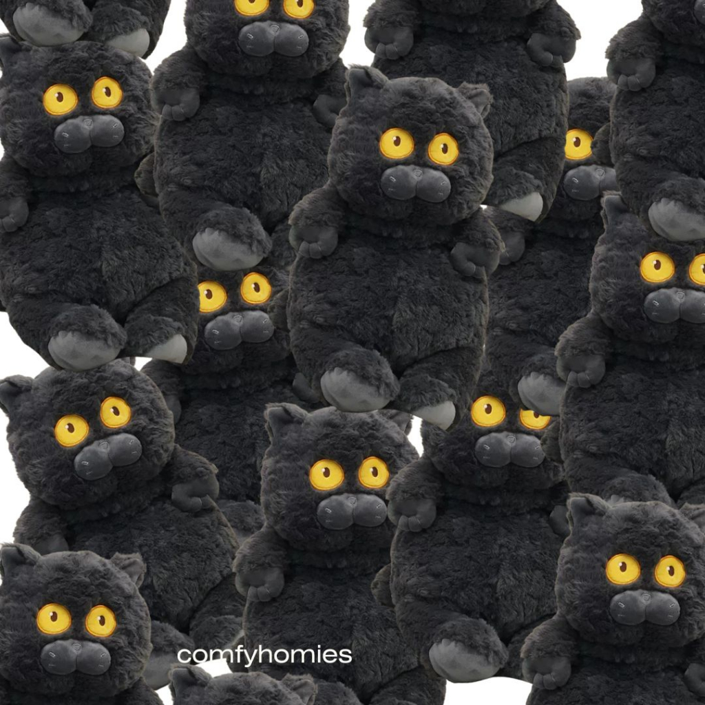 พร้อมส่ง ตุ๊กตาแมว AWKWARD CAT/comfyhomies/