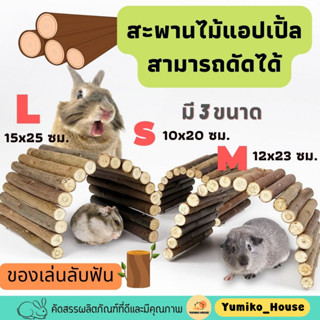 สะพานไม้แอปเปิ้ล สามารถดัดได้ S/M/L สำหรับสัตว์ฟันแทะกระต่าย แฮมเตอร์ ชินชิล่า ฯลฯ