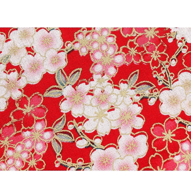 รูปภาพ 5