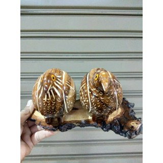 ของขวัญ ของฝาก นกคุ้ม นกคุู่ ต้มเงิน คุ้มทอง ของมงคลมีติดบ้าน ร้านค้า ตัวใหญ่
