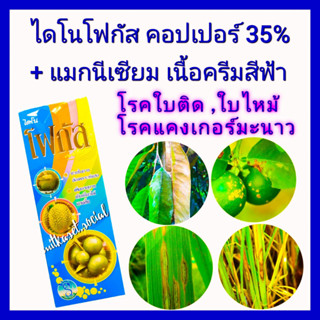 คอปเปอร์ คอปเปอร์น้ำ น้ำครีมสีฟ้า ไดโนโฟกัส 1ลิตร กำจัดเชื้อรา แบคทีเรีย โรคใบติด ใบไหม้ โรคแคงเกอร์ เน่าคอรวง ขอบใบแห้ง