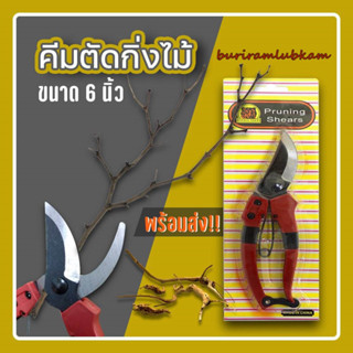 กรรไกรตัดกิ่ง ปากโค้ง 6นิ้ว Pruning shears แบบอย่างดี ลับคมให้พร้อม กรรไกรตัดกิ่งไม้ กรรไกรตัดแต่งกิ่งไม้ กรรไกรทำสวน