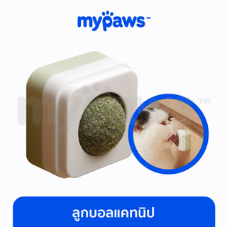 [🔥MYPAWS100]My Paws แคทนิปติดผนัง กัญชาแมว ติดผนัง ทำให้แมวผ่อนคลาย