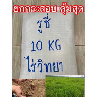 เมล็ดพันธุ์หญ้ารูซี่ ยกกระสอบ 10 กก.