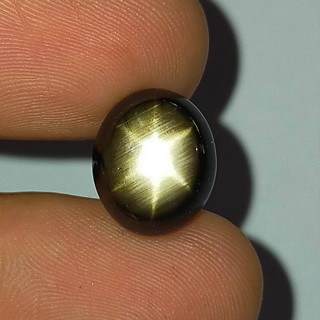 พลอย แบล็ค สตาร์ แซฟไฟร์ ดิบ ธรรมชาติ แท้ ( Unheated Natural Black Star Sapphire ) หนัก 9.91 กะรัต