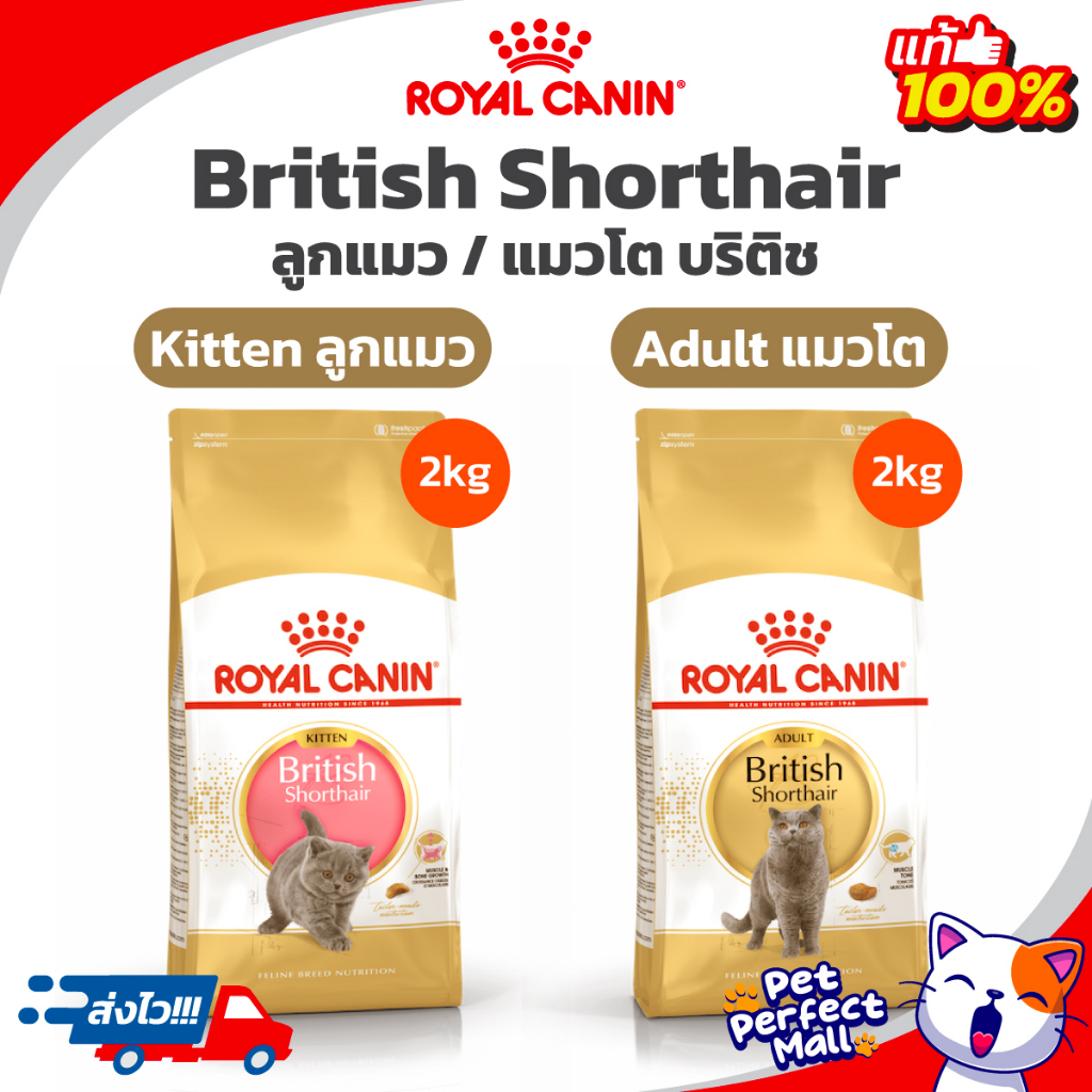 Royal Canin Kitten British Shorthair 2kg / British Shorthair 2kg โรยัลคานิน อาหารแมวโต ลูกแมว บริติช 2 กก