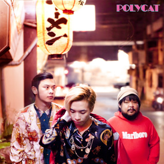 MP3 POLYCAT (แผ่น CD , USB แฟลชไดร์ฟ)