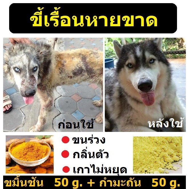 กำมะถัน ผงขมิ้น บดละเอียด แก้โรคเรื้อน โรคผิวหนังในสุนัข ชุดประหยัด ผงกำมะถัน 50 กรัม + ผงขมิ้น 50 กรัม Sulfer powder an