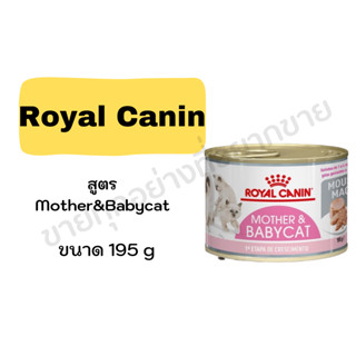 Royal Canin FHN Babycat Can สำหรับลูกแมวอายุ 1-4 เดือน แบบกระป๋อง