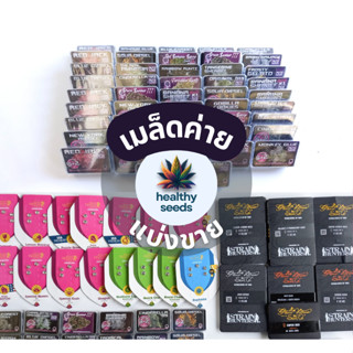 พร้อมส่ง เมล็ดค่าย แบ่งขาย Imported Cannabis Seeds เมล็ดนำเข้า 100% สายพันธุ์นอกแท้ เมล็ดพันธุ์ดี Auto/Photo