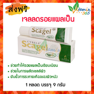 (9กรัม) Cybele Scagel ซีเบล สกาเจล เจลลดรอยแผลเป็น