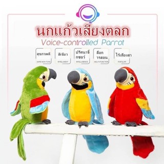 นกแก้วพูดได้สีสวยสดใส🦜🦜🦜