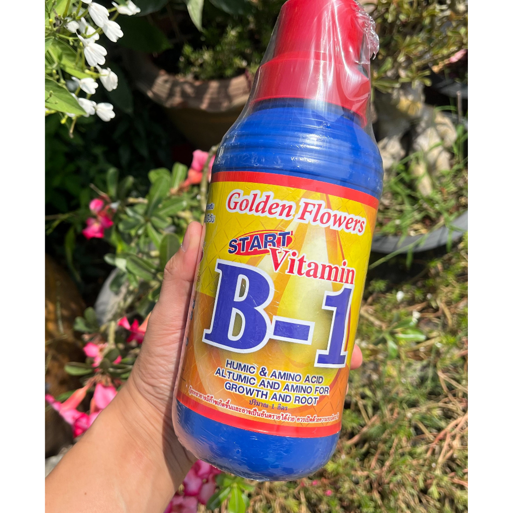 น้ำยาเร่งราก B1 (เปลี่ยนชื่อเป็น BMG ใช้ดีเหมือนเดิม) คลุกเมล็ด ตอนกิ่ง ปักชำ (1ลิตร)