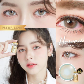คอนแทคเลนส์ ⭐️ Hydrogel ค่าอมน้ำ60%💦 Hawaii brown (ขนาดโต) We wink เกรดพรีเมียม Made in Korea 🇰🇷