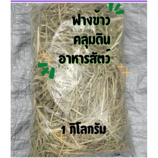 ฟางข้าว 1 กิโล แบบแห้ง เป็นอาหารสัตว์ คลุมดิน 1