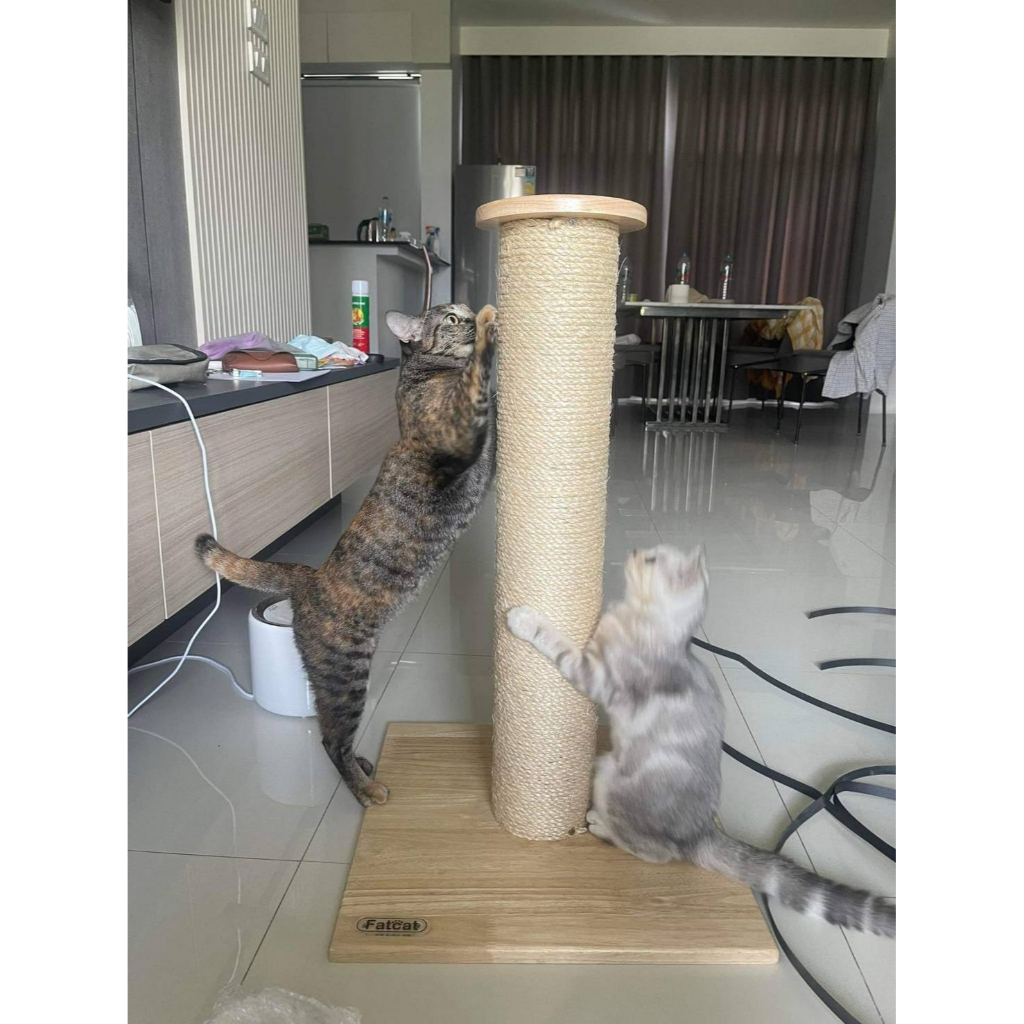 เสาข่วนฝนเล็บ ขนาดท่อ 4 นิ้ว (ของเล่นแมว) ทำจากไม้ยางพารา แข็งแรงทนทาน ใช้เชือกมะนิลาแท้ 100% นอนแมวลับเล็บได้แบบฟินๆ