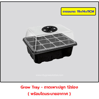 Grow Tray ถาดเพาะเมล็ด ถาดปักชำกิ่ง 12ช่อง - พร้อมฝาระบายอากาศ ถาดเพาะชำ ถาดเพาะกล้า (Nursery Seedling)