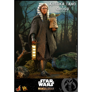 Hot Toys DX21 1/6 Star Wars™: The Mandalorian™ - Ahsoka Tano &amp; Grogu™