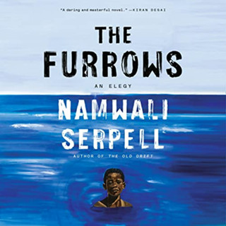 [Barack Obamas 13 favorite books of 2022]The Furrows : From the Prize-winning author of the Old Drift [Hardcover]