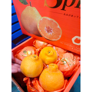 ส้มจุก ญี่ปุ่น ตรานกแก้ว HFT (กล่องสีส้ม) ลูกใหญ่ เบอร์ 15 ,…