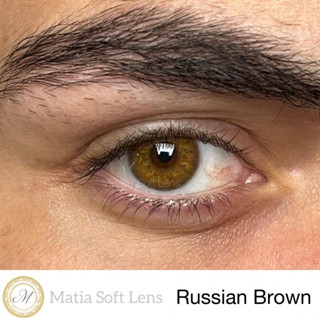 Russian brown คอนแทคเลนส์นำเข้า รายปี 390.- มีค่าสายตา