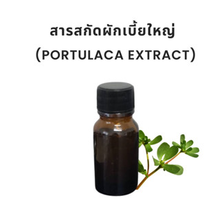 สารสกัดผักเบี้ยใหญ่ (Portulaca Extract) สำหรับใช้เป็นส่วนประกอบในเครื่องสำอาง