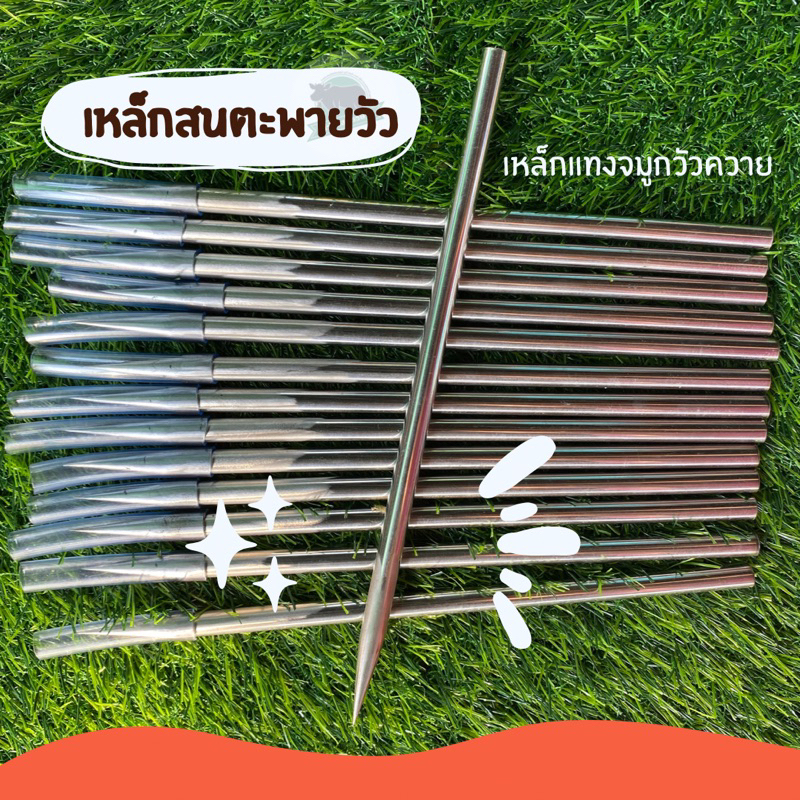 เหล็กสนตะพายวัว,ควาย เหล็กแทงจมูกวัวควาย แทงดังวัว งานสแตนเลส304