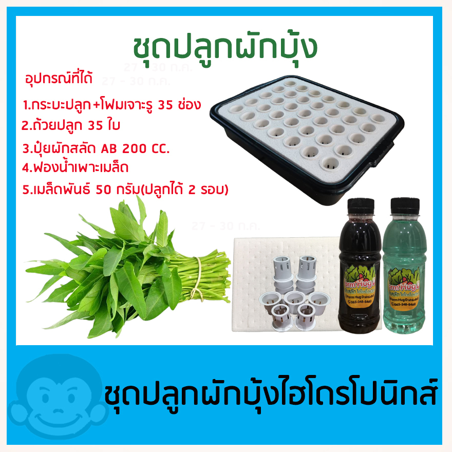 ชุดทดลองปลูกผักบุ้ง ไฮโดรโปนิกส์ ปลูกผักไร้ดิน 35 ช่อง (สำหรับมือใหม่)