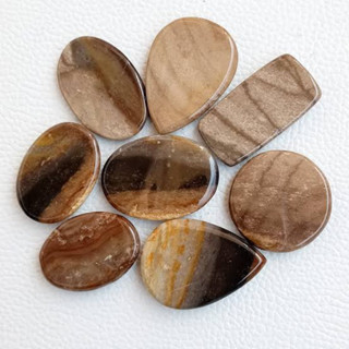 1 pc Natural Petrified wood 2-3 cm Polished Cabochon Stone / Top High Quality Stone / Jewelry Stone Healing Chakra