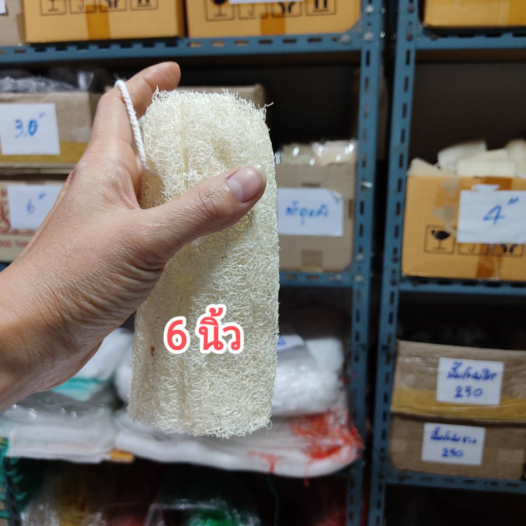 1 ชิ้น ใยบวบขัดผิว ยาว 6 นื้ว บวบยาวเต็มมือ ใยบวบ 100 % นิ่ม ไม่เจ็บ บวบขัดผิว ผิวเนียนใส Natural Loofah Sponge