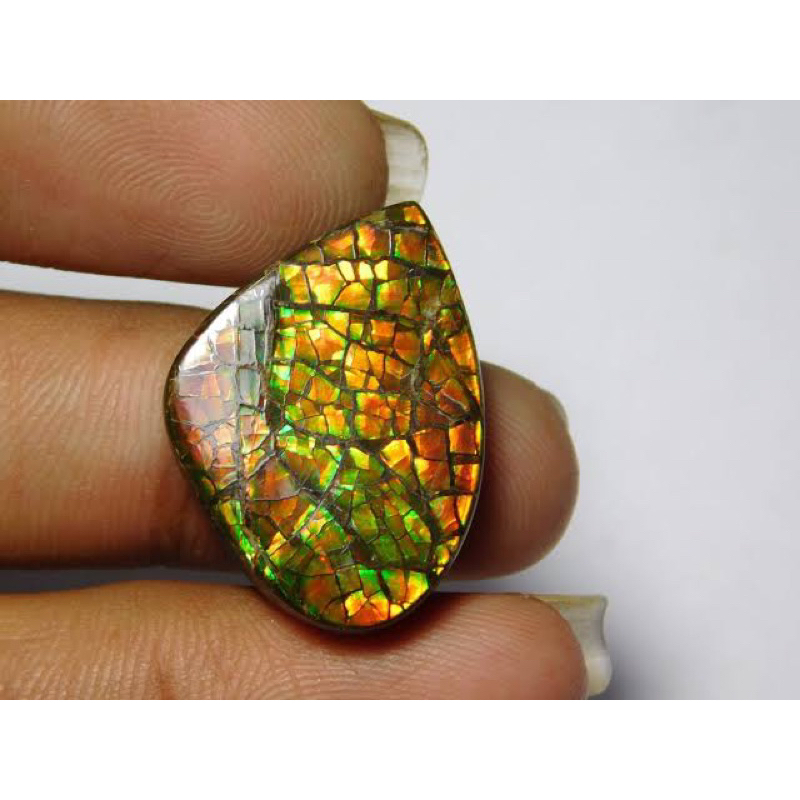1Pc Natural Rare Canadian Ammolite Opal Cabochon / Ammolite Opal for Jewelry / Pick Randomly Ammolit