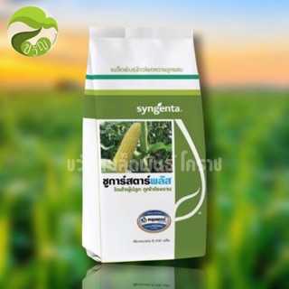 เมล็ดพันธุ์ข้าวโพดหวานลูกผสม ชูการ์สตาร์พลัส Syngenta