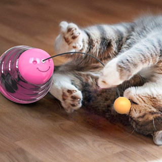 CC Pet ของเล่นสำหรับสัตว์เลี้ยง ของเล่นล้มลุก ใส่อาหารได้