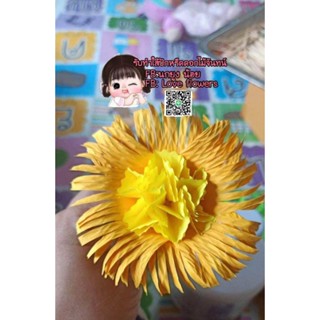 ดอกปักหรีดเบญจมาศสีเหลืองใส้เหลือง