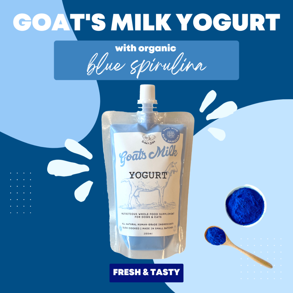 โยเกิร์ตนมแพะสาหร่ายสไปรูลิน่าสีฟ้า Bella's Bites Goat's Milk Yogurt with Blue Spirulina
