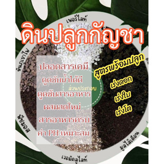 ดินพีชมอสสูตรกัชชาฮอร์โมนเร่งโตx3✅เร่งดอก✅เร่งใบ✅เร่งราก✅แถมฟรีปุ๋ยฮอร์โมน🌱