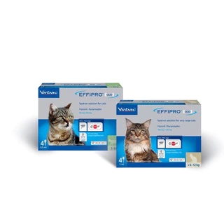 EFFIPRO DUO Spot-on Solution for cats ยาหยอดแมว เห็บ หมัด แมว สำหรับแมว บรรจุ 4 หลอด 1 กล่อง