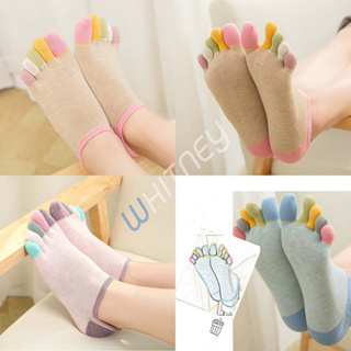 ❤️ถุงเท้าแยกนิ้วข้อสั้น ถุงเท้าแบ่งนิ้ว⭐️มี 5 สี เนื้อนุ่ม สุดน่ารัก ถุงเท้าสไตล์เกาหลี ถุงเท้า(ES11)