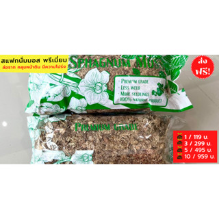 ⚡Flash Sale⚡จำนวนจำกัด สแฟกนั่มมอส 12ลิตร sphagnum moss ล่อราก คลุมหน้าดิน เพาะต้นกล้า เก็บความชุ่มชื้น