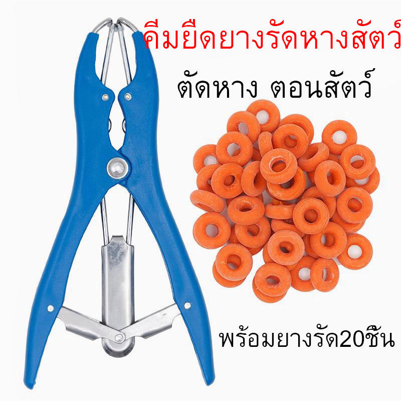 ถูกสุด คีมยืดยางรัดหางสัตว์ 2 in 1 คีมรัดหางแพะ สีฟ้า ใช้รัดหางสุกร หมู ใช้ตอนแพะ แกะ แถมฟรียางรัด 20 ชิ้น