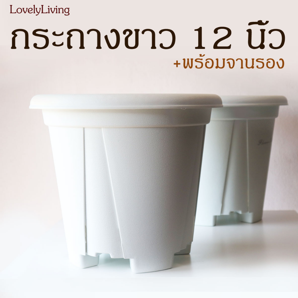กระถางพลาสติก 12 นิ้ว ทรงสูง ขนาดใหญ่ สีขาว ดีไซน์ช่องระบายน้ำเพิ่มอากาศถ่ายเทมากขึ้น