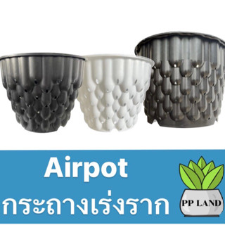 กระถางเร่งราก-จานรอง ขนาด10นิ้ว,12นิ้ว