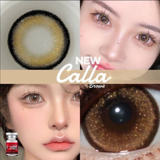 💥รุ่นลิมิเตด 💋 มีค่าสายตา 💋 Lovelylens Calla Gray Brown 💋 มีกลิตเตอร์วิ้งๆ บิ๊กอาย สุดปัง คอนแทคเลนส์ รายเดือน มีอย แถมตลับฟรี เลนส์นิ่ม สวยปังมาก