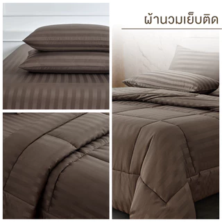 ibed ชุดผ้าปูที่นอนทอลายครบเซ็ท Softex Satin (ทอลายริ้ว) 3.5 ฟุต,5 ฟุต,6 ฟุต - STRIPED COLLECTION